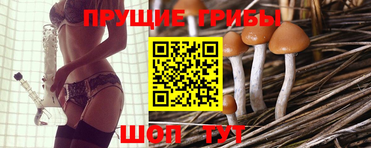 Галлюциногенные грибы GOLDEN TEACHER Карачаевск