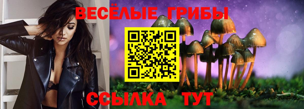 Карачаевск  Галлюциногенные грибы Psilocybe  Галлюциногенные грибы Cubensis  Вход с VPN 