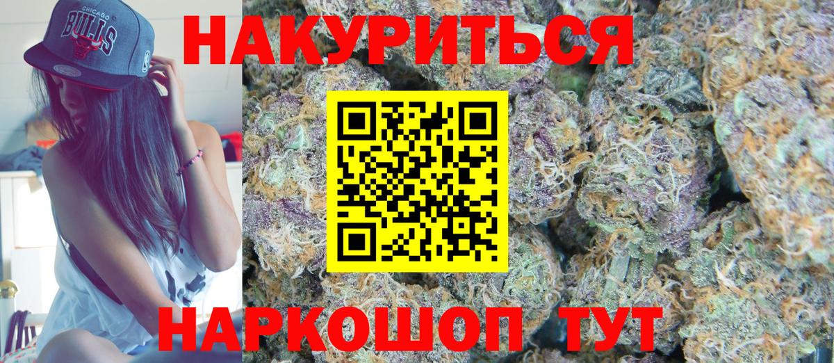 Бошки марихуана сатива  Шишки марихуана конопля  Вход с VPN  Карачаевск 